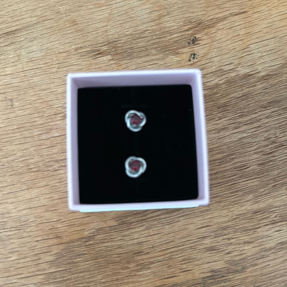 Pandora January birthstone eternity circle stud earrings